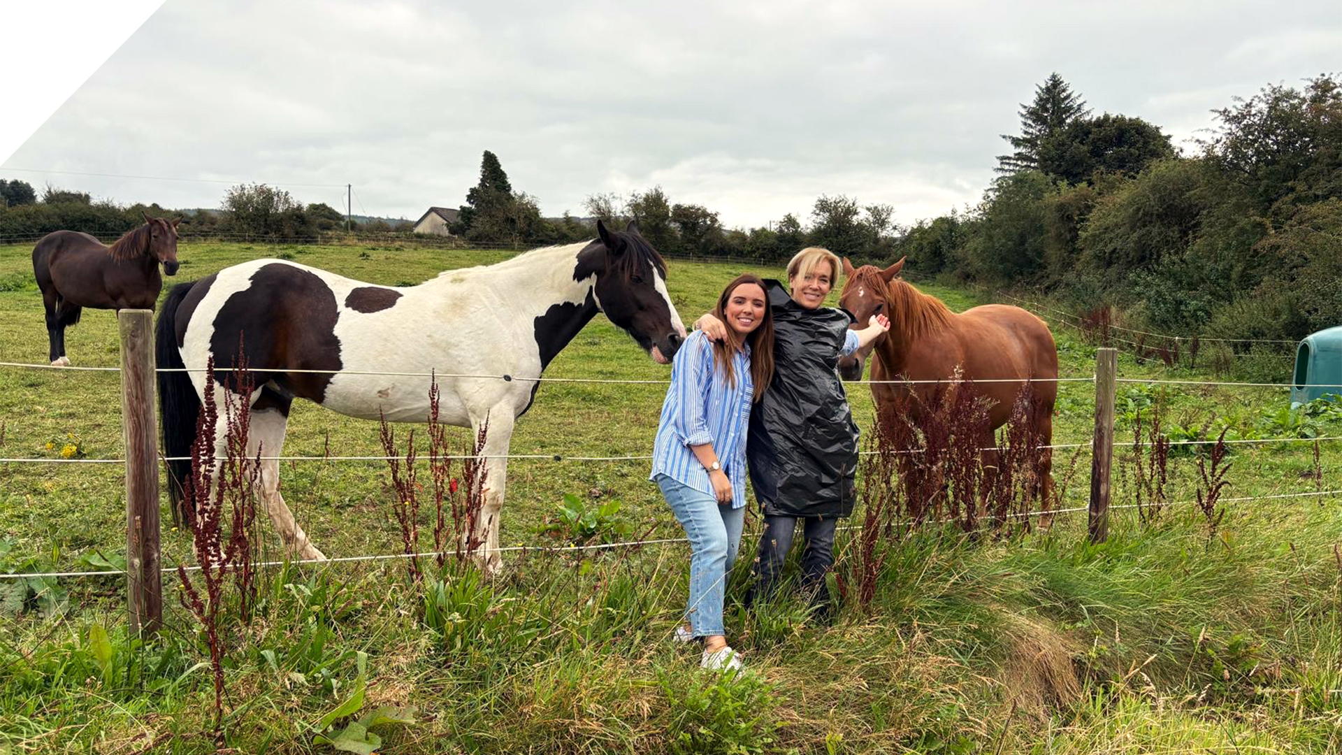 Shona Oonagh horses (notch) 1920x1080