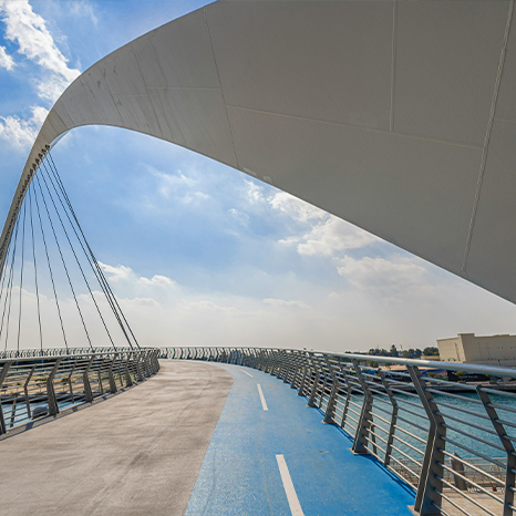 Bike lane bridge(466x466)