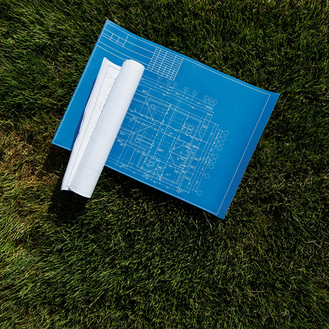 blue prints grass (466x466)