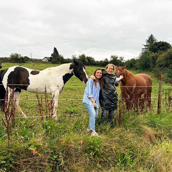 Oonagh shona horses (466x466)