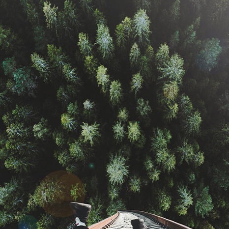 Falling tracks forest - Above (466x466)