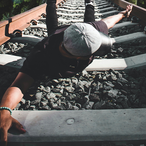 Falling tracks forest - Bellow (466x466)