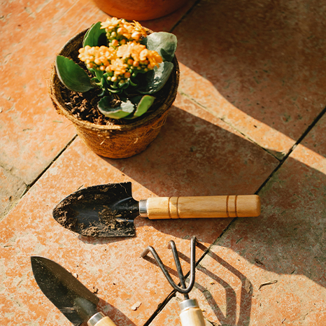 Garden tools (466x466)