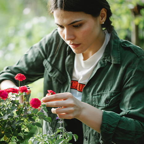 Trimming flowers (466x466)